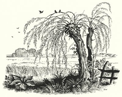 Hans Christian Andersen: Tattari (litho) tekijältä Rex (after) Whistler