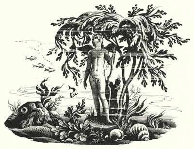 Hans Christian Andersen: Pieni merenneito (litho) tekijältä Rex (after) Whistler