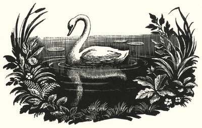 Hans Christian Andersen: Ruma ankanpoikanen (litho) tekijältä Rex (after) Whistler