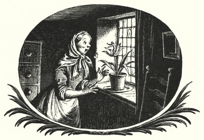 Hans Christian Andersen: Thumbelina (litho) tekijältä Rex (after) Whistler