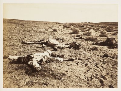 Kuollut sotilas Tel-el-Kebirissä, Egyptissä, 6. joulukuuta 1882 tekijältä John Pardon
