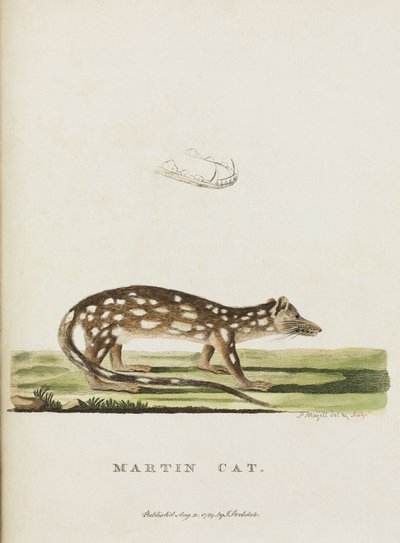 "Martin Cat", Australia, n. 1788 tekijältä John Pardon