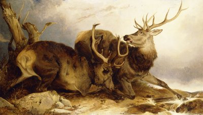 Taistelu, 1847 tekijältä Richard Ansdell