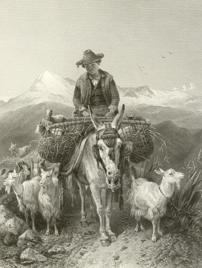Granadan vuohipaimen tekijältä Richard Ansdell