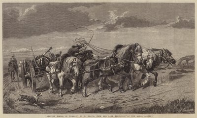 Puun piirtäminen Picardiassa tekijältä Richard Beavis
