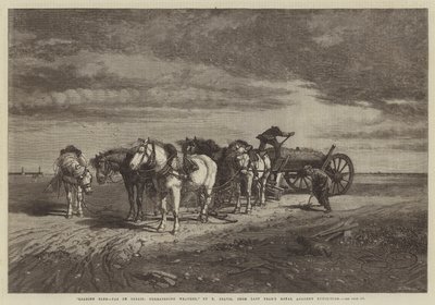 Ladataan Sand-Pas de Calais, uhkaava sää, viime vuoden Royal Academy -näyttelystä tekijältä Richard Beavis