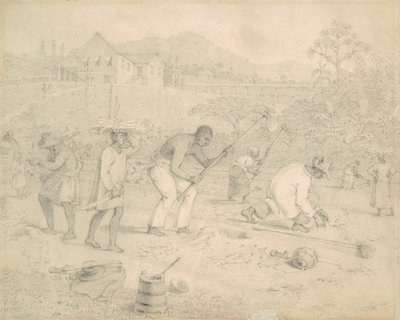Plantando a cana-de-açúcar (Trinidad) finlandesa tekijältä Richard Bridgens