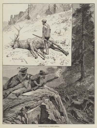 Wapiti-metsästys Pohjois-Amerikassa (kaiverrus) tekijältä Richard Caton II (after) Woodville