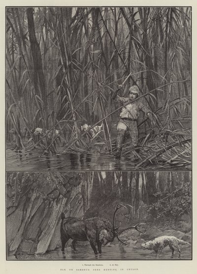 Hirvi tai Sambhur Deer Hunting, Ceylonissa tekijältä Richard Caton Woodville junior