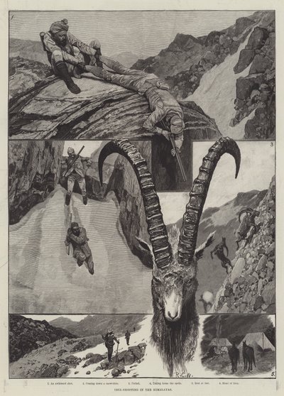 Ibex-Shooting in the Himalayas kaiverrus tekijältä Richard Caton Woodville junior