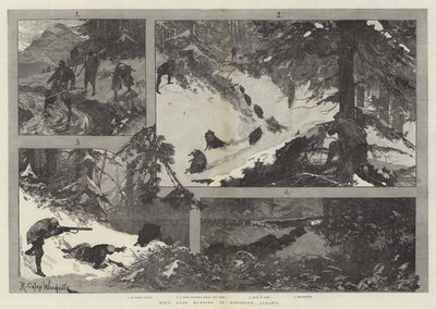 Villisian metsästys Pohjois-Albaniassa tekijältä Richard Caton Woodville junior