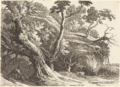 Maisema suurilla puilla tekijältä Richard Cooper II