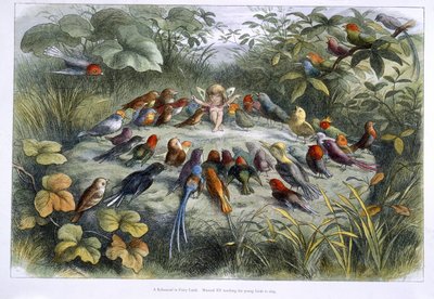 Tonttu ja linnut tekijältä Richard Doyle