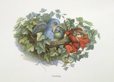 Kiipeily tekijältä Richard Doyle