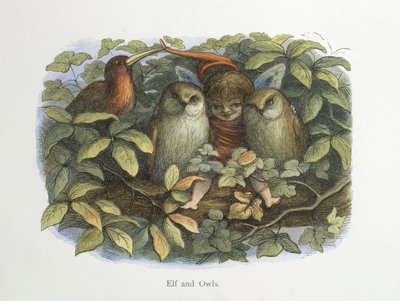 Tonttu ja pöllöt tekijältä Richard Doyle