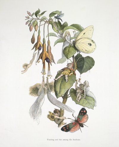 Fuschioiden parissa juhlimista ja hauskanpitoa tekijältä Richard Doyle