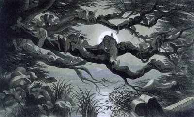 Keijuja, nymfiä ja tonttuja lepäämässä kuunvalossa oksalla? Kuva "" Satumaassa. Sarja kuvia tonttumaailmasta"" Richard Doyle 1869-1870 British Library Institution Viite: Shelfmark ID: 1876 e18 