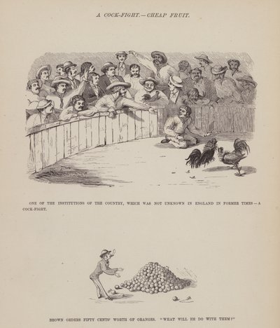 Sivu teoksesta The American Tour of Messrs Brown, Jones and Robinson (kaiverrus). tekijältä Richard Doyle