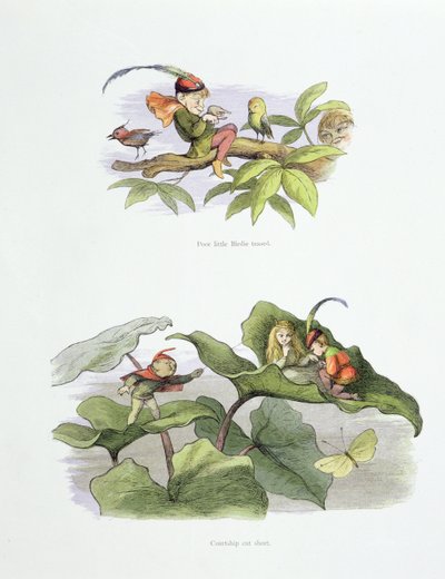 Köyhä pikku Birdie kiusoitteli ja Courtship lyhensi William Allinghamin ja Andrew Langin "In Fairyland: A Series of Pictures from the Elf-World" -kuvat. tekijältä Richard Doyle