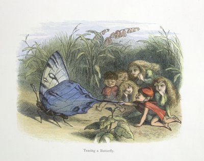 Perhosen kiusaaminen tekijältä Richard Doyle