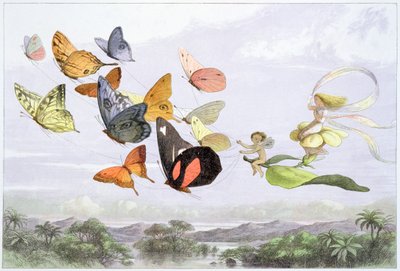 "Keijukuningattaren vaunut", vuodelta 1870 tekijältä Richard Doyle