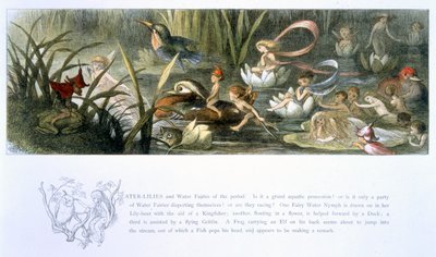 Vesililjat ja vesikeijut, kuvitus William Allinghamin ja Andrew Langin teoksesta "In Fairyland: A Series of Pictures from the Elf-World" tekijältä Richard Doyle