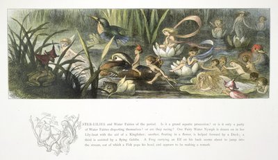 Vesililjat ja vesikeijut tekijältä Richard Doyle