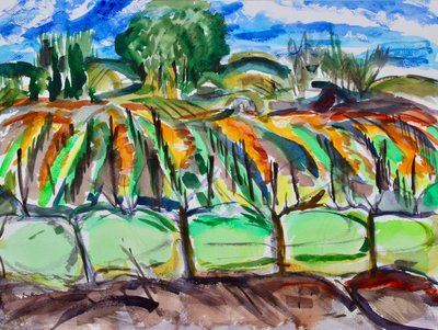 Autumn Vineyards, Napa, 2017 tekijältä Richard Fox