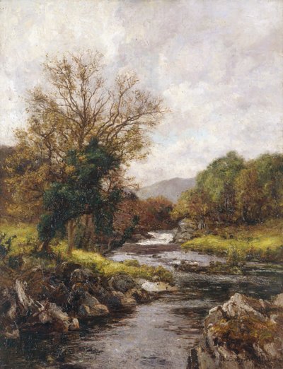 "Taimenvirta", 1868-1928 tekijältä Richard Gay Somerset