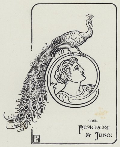 Peacock and Juno (kaiverrus) tekijältä Richard Heighway
