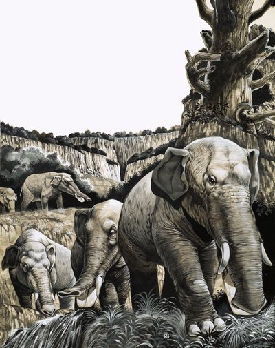 Outo Amebelodon tekijältä Richard Hook