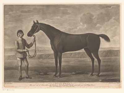 Racepaard tapasi jockeyn hollantilainen tekijältä Richard Houston