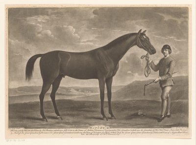 Racepaard tapasi jockeyn Matchem (otsikko objektissa) tekijältä Richard Houston