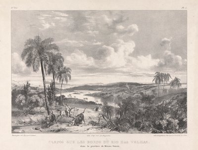 Campos sur les bords Rio das Velhasissa tekijältä Richard Parkes Bonington