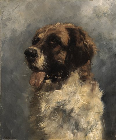 Bernhardiner Hund tekijältä Richard Voltz