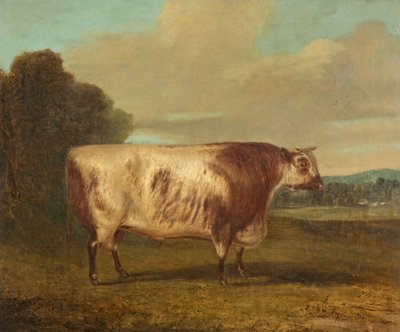 Härkä, 1862 tekijältä Richard Whitford