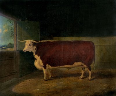 Palkinnon muotokuva Hereford Steer, 1874 tekijältä Richard Whitford