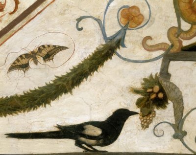 R. Ghirlandaio, Groteske, Vogel tekijältä Ridolfo Ghirlandaio