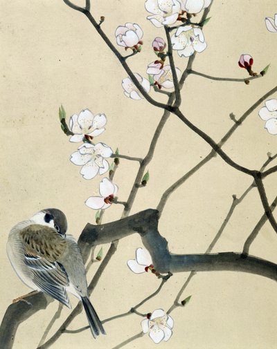 Lintu - Riou Chimin japanilainen piirros, 1800-luvun loppu tekijältä Riu Chim