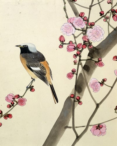 Lintu - Riou Chimin japanilainen piirros, 1800-luvun loppu tekijältä Riu Chim