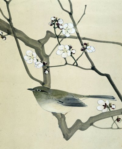 Lintu - Riou Chimin japanilainen piirros, 1800-luvun loppu tekijältä Riu Chim