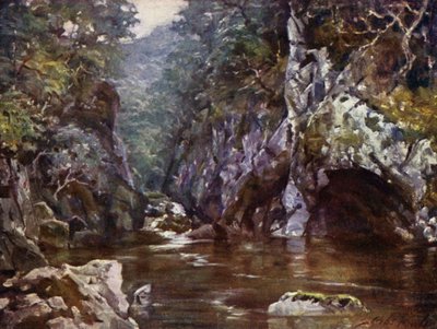 Fairy Glen, Bettws-y-Coed (väri litho) tekijältä Robert (after) Fowler