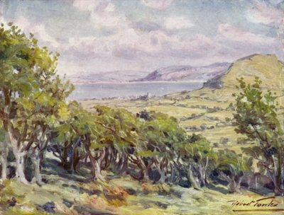 Lähellä Colwyn Bay (väri litho) tekijältä Robert (after) Fowler