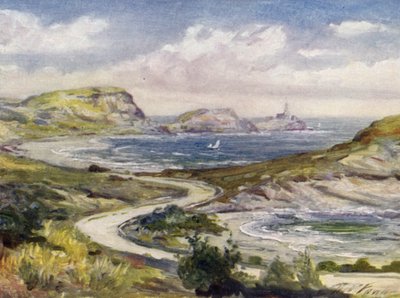Näkymä lähellä Mumbles, Swansea (väri litho) tekijältä Robert (after) Fowler