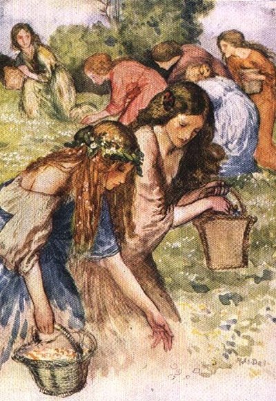 Joen varrella on niitty, nymfiparvi, jota satuin vakoilemaan, Palgraven kultaisesta aarrekammiosta, julkaistu 1907 (värilitho) tekijältä Robert Anning Bell