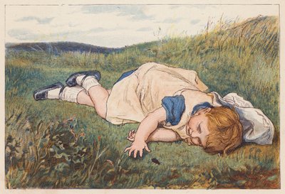 Kuoriaisen kiehtoma tyttö (värilitro) tekijältä Robert Barnes