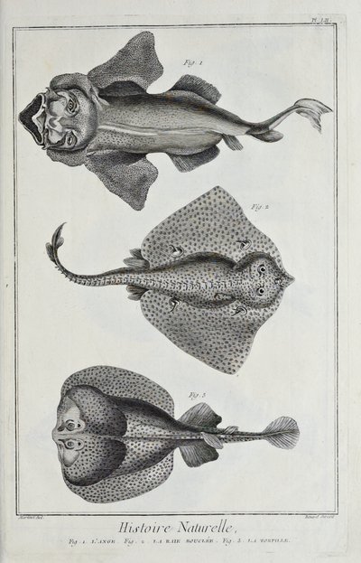 Kuva Denis Diderot