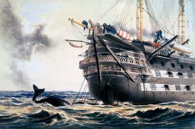 HMS "Agamemnon" laskemassa alkuperäistä Atlantin lennätinkaapelia, 1857 1866 tekijältä Robert Dudley