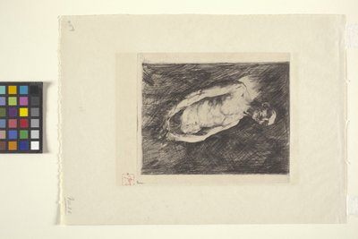 ਇੱਕ ਆਦਮੀ ਦਾ ਚਿੱਤਰ (ਸਿਆਹੀ) ਫਿਨਿਸ਼ tekijältä Robert Frederick Blum
