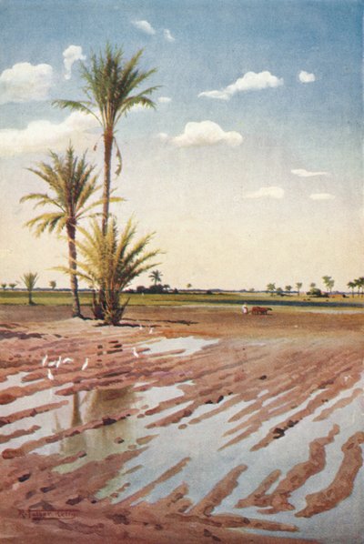 Kasteltu pelto, c1880, 1904 tekijältä Robert George Talbot Kelly